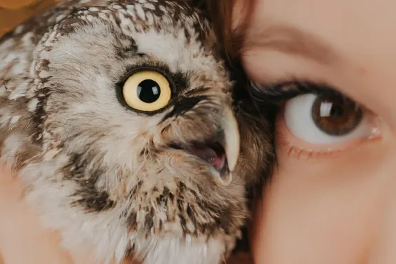 パラダイス カジノ サポート